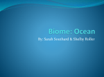 Biome: Ocean - Ohio County Schools