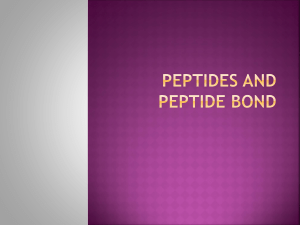 Peptides and peptide bond