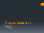 Parasite Vocabulary