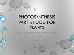 16- Notes: Photosynthesis Part I Photosynthesis LB Pat I