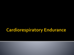 The Cardiorespiratory System