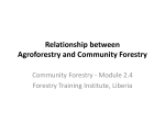 Agroforestry: Definition
