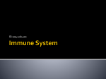 Immune System - GertzScience