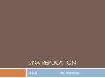 Dna rEPLICATION - Manning`s Science
