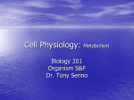 Cell Physiology