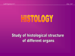 Study of histological structure