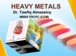 HEAVY METALS2