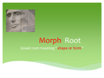 Morph root powerpoint game