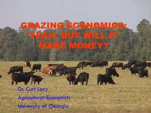 Grazing Economics Will this stuff Pay?? - UGA CAES
