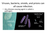 Viruses, bacteria, viroids, and prions can all cause infection.