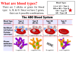 What are blood types?