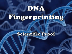 DNA Fingerprinting