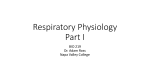 Respiratory Physiology Part I