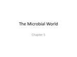 The Microbial World