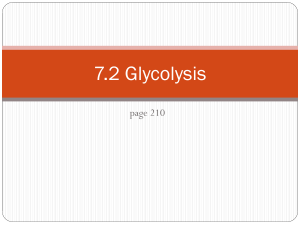 7.2 Glycolysis