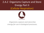 2.A.2 Organisms Capture and Store Energy - kromko