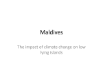 Maldives - Geocytes