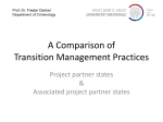 A Comparison of Transition Management Practices