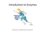 Introduction_to_Enzymes (1)