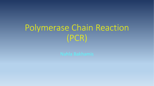 PCR