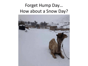 Forget Hump Day* How about a Snow Day?