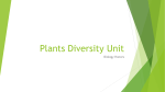 Plants Diversity Unit - Everglades High School