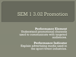 SEM 1 3.02 Promotion