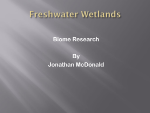 Freshwater Wetlands