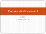 Protein purification protocol by Dr. Samina Hyder Haq