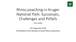 Rhino poaching in Kruger National Park