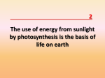 The use of energy from sunlight by photosynthesis is the basis of life