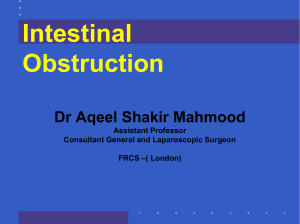 Intestinal Obstruction