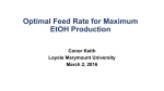 Optimal Feed Rate for Maximum EtOH Production