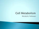 Metabolic Pathways Cell Metabolism