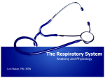 AP PPT - Respiratory