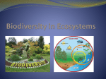 Biodiversity in Ecosystems