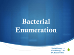 Bacterial Enumeration
