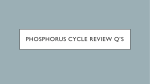 Phosphorous Cycle Review Q*s