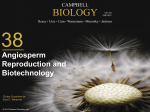 Angiosperm Reproduction and Biotechnology - jj-sct
