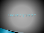 Circulatory-Respiratory System
