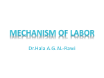 Mechanism of labor