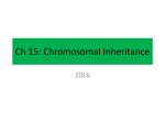 Ch15ChromosomalInheritance