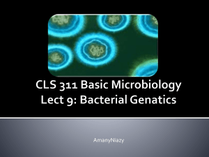 CLS 311 Basic Microbiology Lect 9: Bacterial Genatics