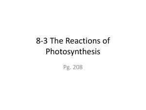 8-3 The Reactions of Photosynthesis