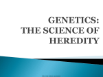 GENETICS THE SCIENCE OF HEREDITY