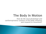 The Body In Motion