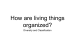 How are living things organized?