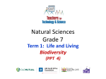 Arthropods Natural Sciences - Grade 7