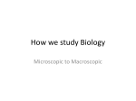 How we study biologyfirst class