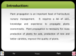 Copy of Sexual Propagation Method of Horticulture Plants.ppt